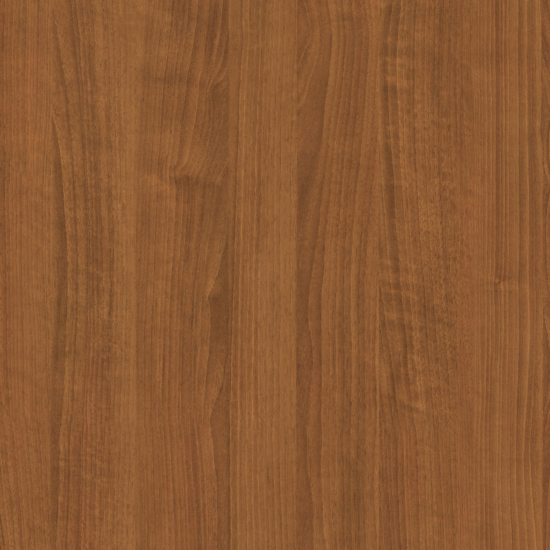 Holz